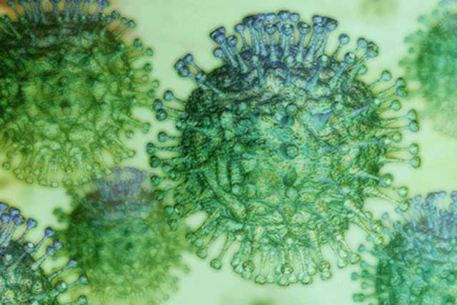 Coronavirus, in Puglia 152 nuovi casi: sale a 1.334 il numero dei contagiati